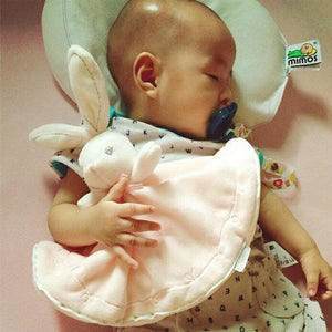 DOUDOU PLAT EN VELOUR