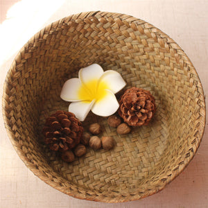 PETIT PANIER ROND EN OSIER