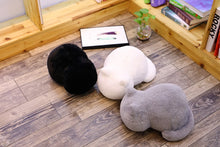 Charger l&#39;image dans la galerie, COUSSINS PELUCHE CHAT