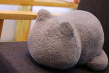 Charger l&#39;image dans la galerie, COUSSINS PELUCHE CHAT