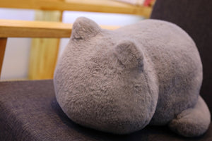 COUSSINS PELUCHE CHAT
