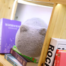 Charger l&#39;image dans la galerie, COUSSINS PELUCHE CHAT